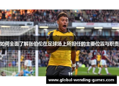 如何全面了解张伯伦在足球场上所担任的主要位置与职责