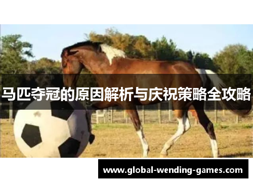 马匹夺冠的原因解析与庆祝策略全攻略