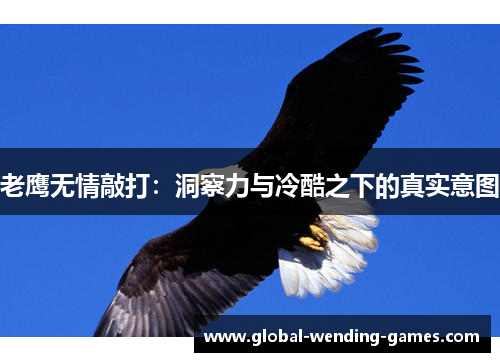 老鹰无情敲打:洞察力与冷酷之下的真实意图 老鹰无情敲打:洞察力与冷酷之下的真实意图