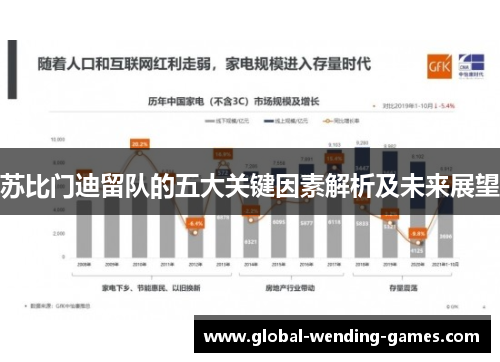 苏比门迪留队的五大关键因素解析及未来展望